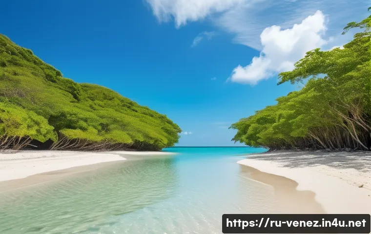 베네수엘라 해안 관광지 추천 - A serene and secluded beach scene at Maduro Beach, Venezuela, featuring soft almost white sand gentl...